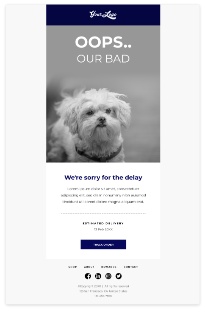 Delay in Order Delivery email template